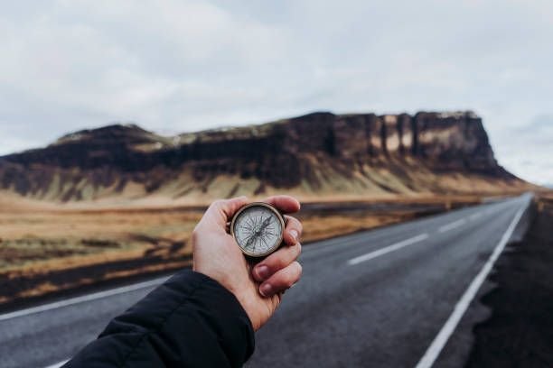 Balancing Growth and Profitability: The Changing Landscape of Startup Investments